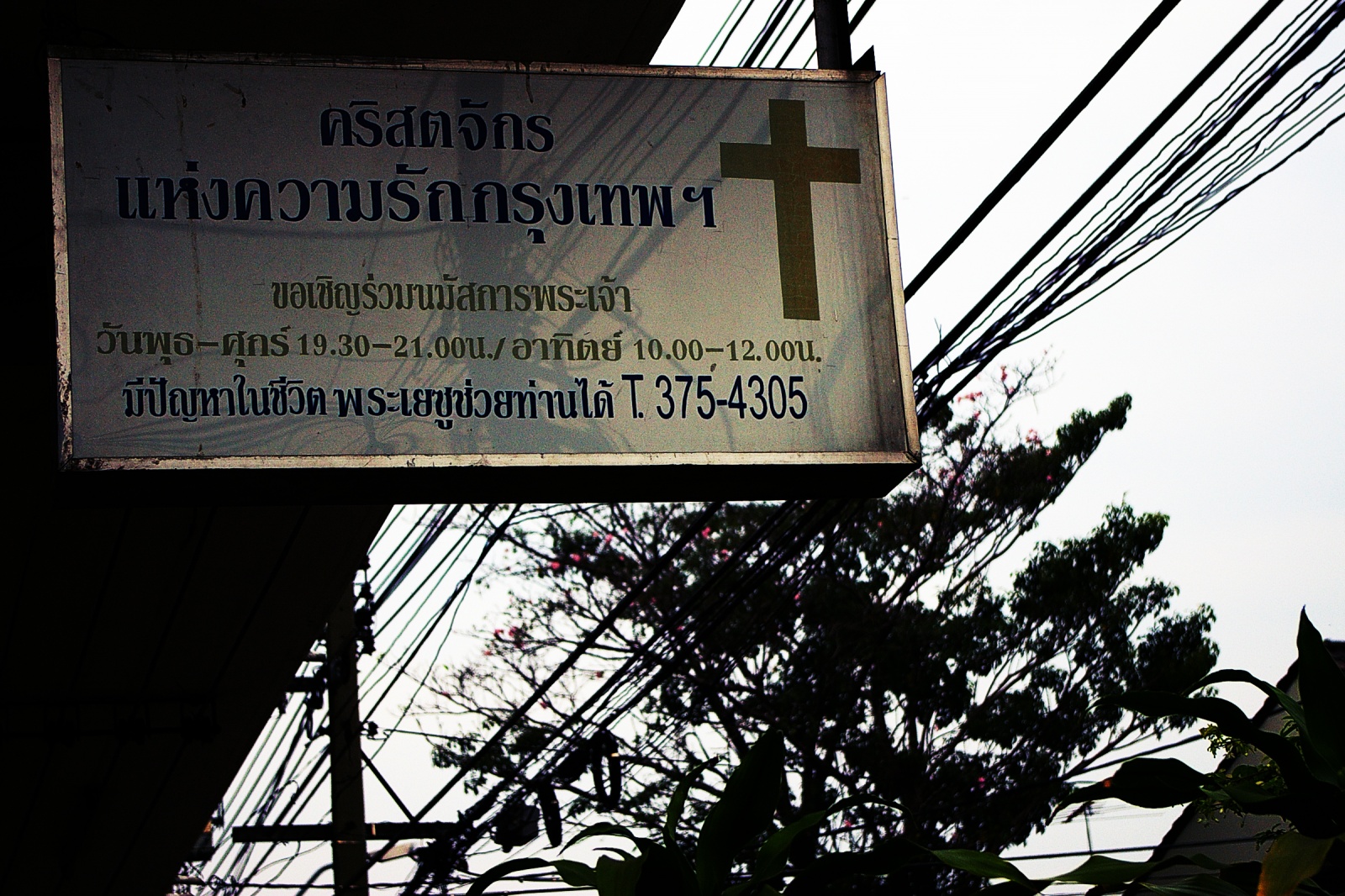 9996.jpg : 2006년 태국 단기선교